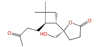 Rumphellaone C